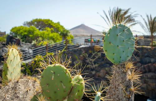 Casa Rural Finca Isabel - Foto 58