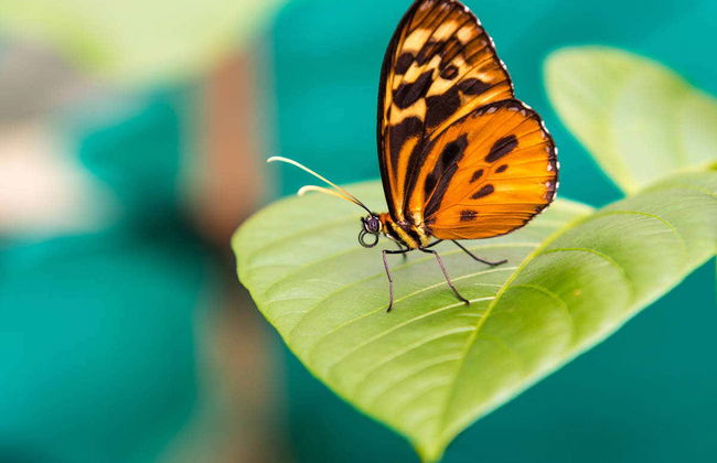 Mindo Day Trip - Photo 3