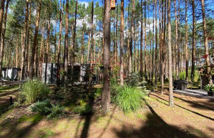 Las Biala's - Domki z sauną i jacuzzi w Puszczy Noteckiej - Tylko dla dorosłych - Foto 31