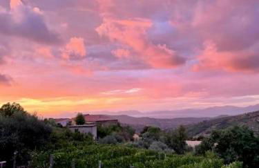 Pink House - Foto 16