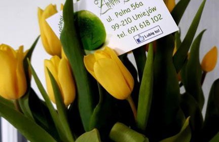 Zielone Zacisze - Foto 38