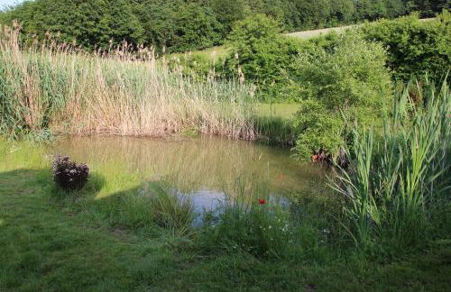 fewogriebelschied - Foto 55