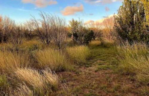 Cottonwood Creek Cabins - Alpine, TX - Foto 35