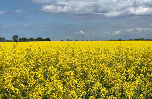 4-Sterne Ferienwohnung in Strandnähe mit Sonnenbalkon - Photo 18