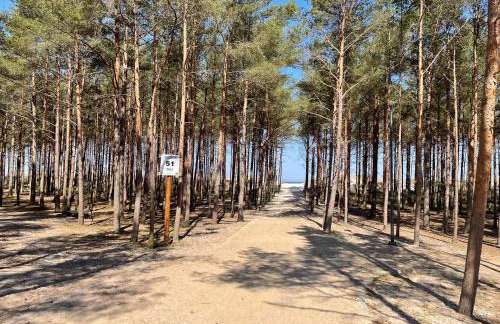 Chabrowa Oaza - Foto 37