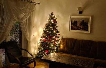 Apartament Kazimierza Wielkiego - Foto 1