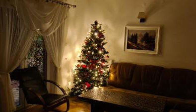 Apartament Kazimierza Wielkiego - Foto 1