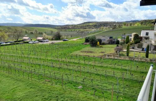 Ferien im Winzerhaus - Foto 15