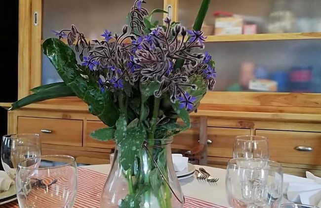 Agriturismo Le Macine - Foto 19