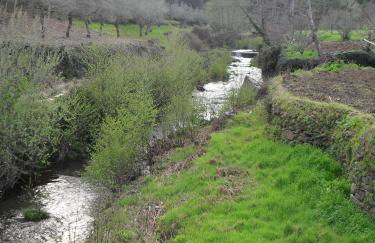 Casas Rurales Prunus Avium - Photo 74