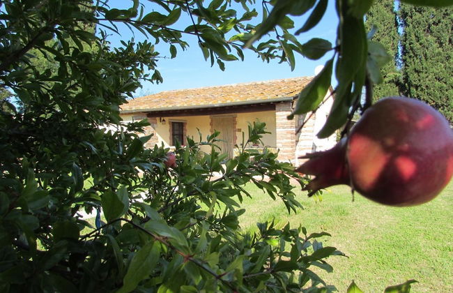 Agriturismo Pretenzano - Photo 59