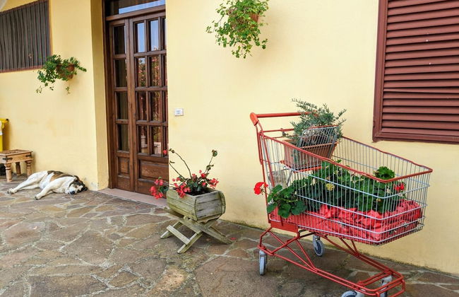 Il Rifugio del Contadino Country House - Photo 6