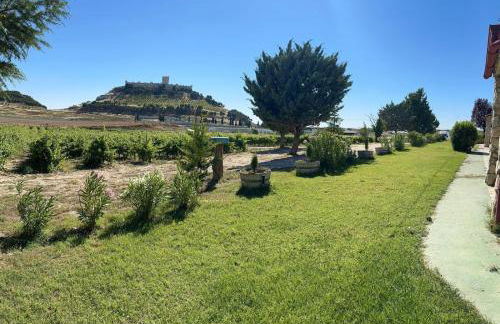 FINCA ENTREVIÑEDOS de Bodegas Marcos - Foto 9