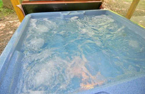 Trails End River Retreat - River Access - Pet Friendly - Hot Tub - Grill - Wifi - Fire Pit - Deck - Screen Porch - Family Friendly - Fishing - King Bed - Wood Stove - Photo 20