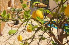 Casa Ladena - Foto 25