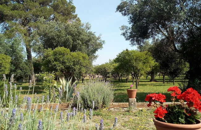 Agriturismo Villa Coluccia - Foto 55