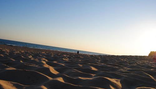 La Carrajolilla - Foto 4