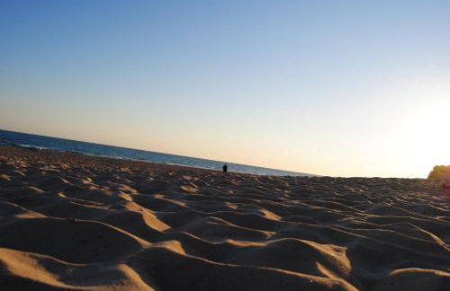 Coto de Sancti Petri - Foto 70