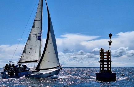 L'Auberge Du Roch - Foto 52