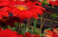 Tana Libera Tutti 3 Nature, Yourself, Love - Foto 22