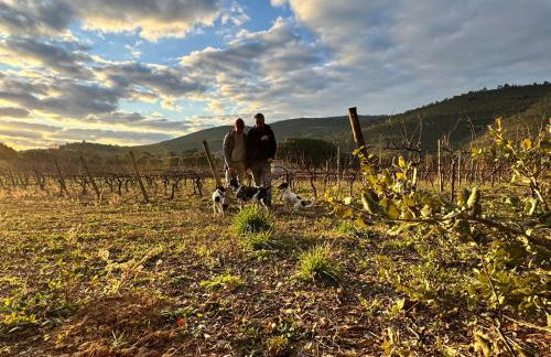 Salto del Caballo - Foto 32