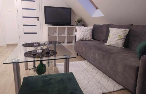 Apartment/mieszkanie u Janusza - Photo 17