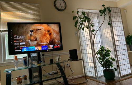 Townhouse with High Speed WiFi & Free Parking - Foto 13