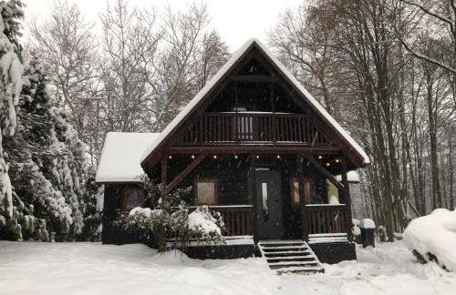 Domek Pod Lasem - Foto 31