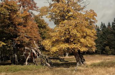 Ferienhaus Florian - Foto 17