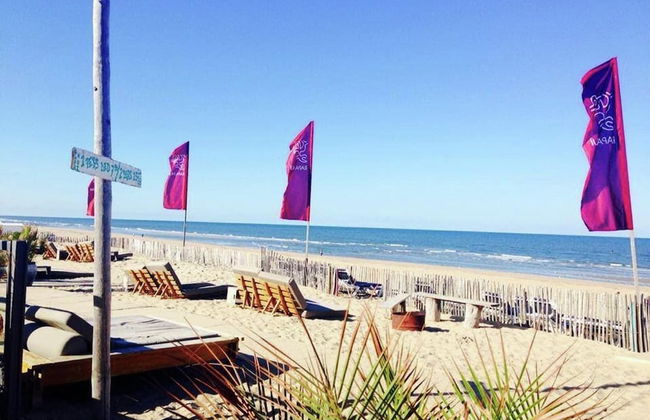 Beach House in Zandvoort With Sea View - Foto 29