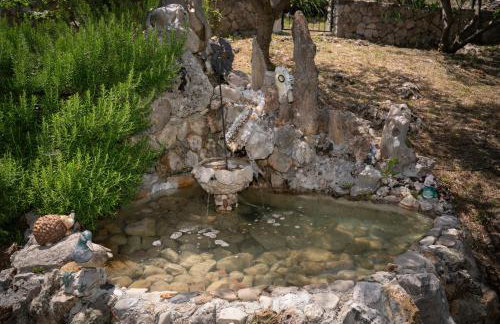 Apartments Srdanovic - Photo 60