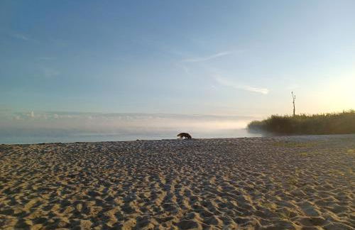 Ferienwohnung SEA - Foto 37