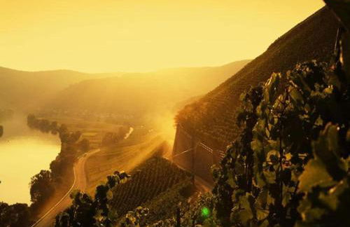 Wine Country Apartment - Foto 35