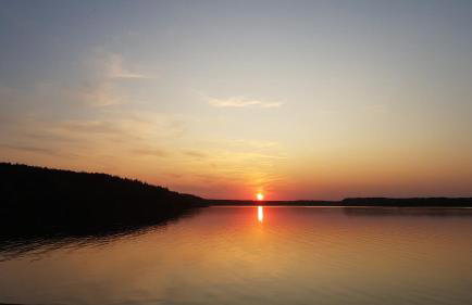 Wiele Żurawi - Foto 25