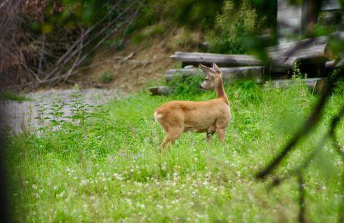 Black Deer - z Sauną na Tarasie, Jacuzzi i Widokiem na Góry - by Deer Hills Luxury Apartments - Foto 48