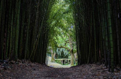 Canto`s Green Garden, Apartamentos Turísticos & SPA, 4 Estrelas - Photo 10