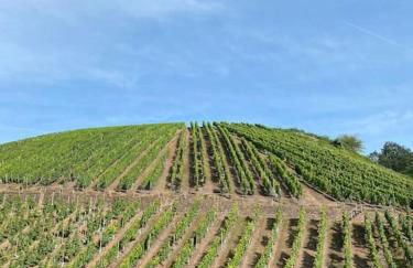 FERIENWOHNUNG ALL YOU NIED mit NIEDBLICK und TERRASSE - Foto 20