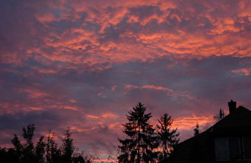 Ferienhaus Seensucht - Foto 13