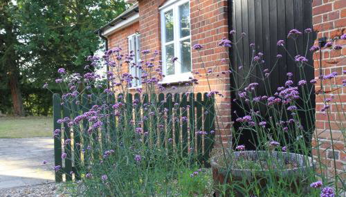 Sam's Stable - Foto 3