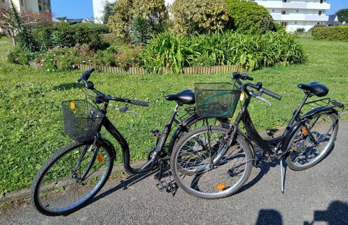 appartement cocon à Quiberon dans résidence calme, plages et centre ville à pied ou à vélo pour 2 à 4 personnes - Foto 11
