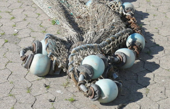 "bosse" Comfortable Holiday Residence - Photo 12