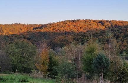 Cichosan domek w dolinie Sanu - Foto 40