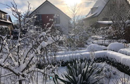 Apartment Kirschti - Foto 28