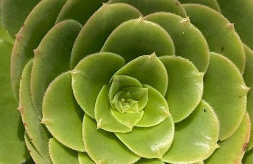 Gîte l'AUBEPINE, Les Herbiers centre - Foto 10