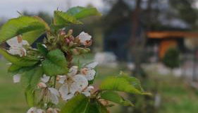 Domek nad Zalewem - Foto 4