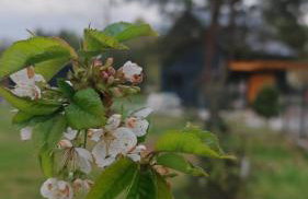 Domek nad Zalewem - Foto 4