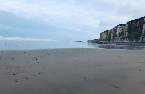 Duplex Normandie, tout confort Saint Valery en Caux - Foto 37