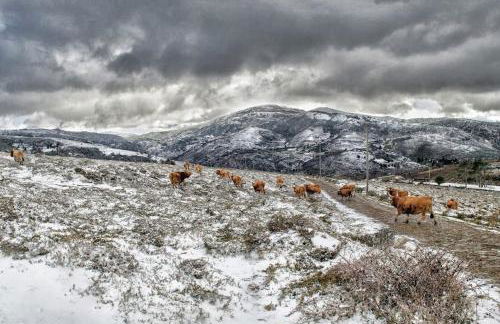 Casa da Fonte - Branda da Aveleira - Foto 29