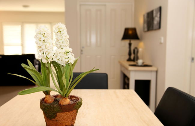 Apartments On The Park - Foto 26