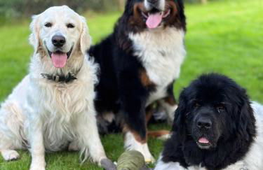 Wunderschöne Ferienwohnungen - Willkommen in der Deichluft - Foto 7